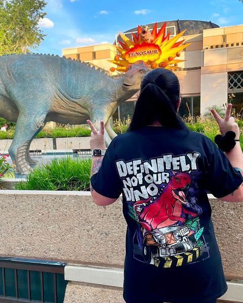 Someone wearing a Mouse House design in a theme park