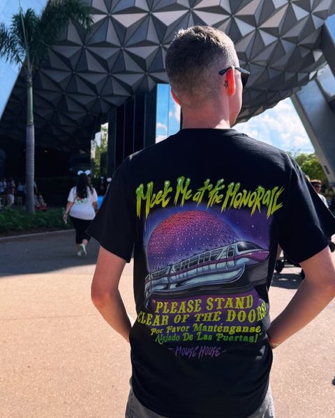 Someone wearing a Mouse House design in a theme park