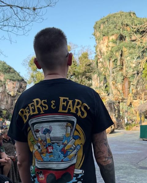 Someone wearing a Mouse House design in a theme park