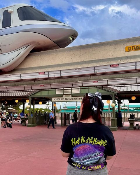 Someone wearing a Mouse House design in a theme park